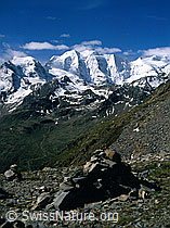 dia96100: Piz Cambrena und Piz Palü