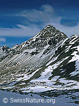 dia96105: Piz Languard