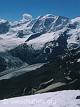 dia96168: Piz Palü von NNW