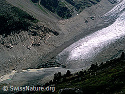 dia96179: Gletscherzunge Morteratschgletscher