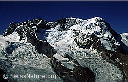 dia98155: Breithorn