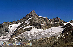 dia98162: Zinalrothorn