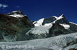 dia98186: Rimpfischhorn, Strahlhorn und Adlerpass